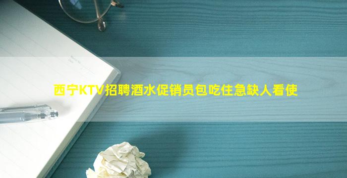 西宁KTV招聘酒水促销员包吃住急缺人看使